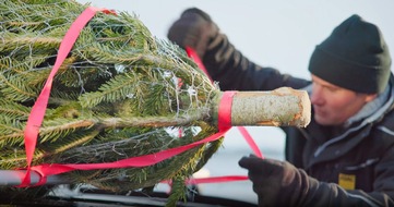 Beim Weihnachtsbaum-Transport drohen Gefahren / ADAC gibt Tipps für sicheren Transport / 60 Euro Bußgeld drohen