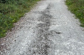Polizeiinspektion Göttingen: POL-GÖ: (276/2025) Ölverschmutzung auf Waldweg im Kuckanstal bei Bad Sachsa - Polizei sucht Zeugen