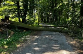 Feuerwehr Schermbeck: FW-Schermbeck: Baum blockiert Fahrbahn