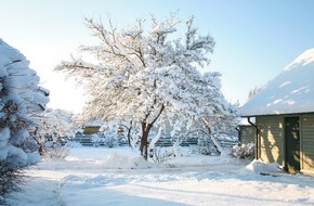 goodRanking Online Marketing Agentur: Bäume: Gesund und gestärkt aus der Winterruhe