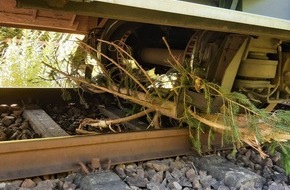 Bundespolizeiinspektion Kaiserslautern: BPOL-KL: Zug kollidiert mit umgestürztem Baum