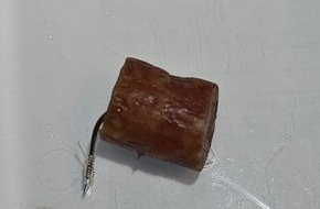 Polizeiinspektion Harburg: POL-WL: Wurstst&uuml;cke mit Angelhaken versehen und ausgelegt - Polizei bittet Hundehalterinnen und Hundehalter um Vorsicht