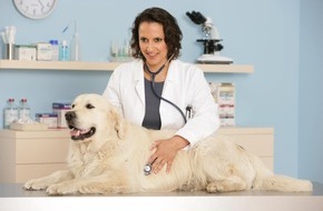Allianz Deutschland AG: Urlaub? Nicht ohne meinen Hund! (mit Bild)