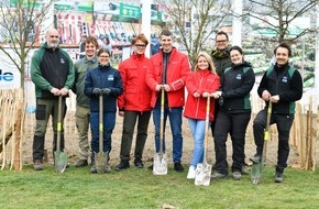 Bauhaus AG: BAUHAUS pflanzt Waldinsel in Leipzig
