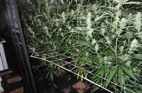 Polizei Dortmund: POL-DO: Cannabis-Plantage in Wohnung in Dortmund-Mitte gefunden