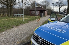 Polizeiinspektion Leer/Emden: POL-LER: Pressemitteilung der Polizeiinspektion Leer/Emden vom 16.03.2025