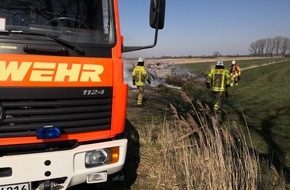 Polizeiinspektion Stade: POL-STD: Gebüschhaufen und Baum geraten in Brand - Polizei sucht Zeugen