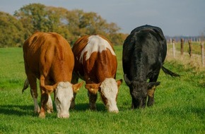 Verbraucherzentrale Nordrhein-Westfalen e.V.: Wussten Sie schon, dass Weidemilch nicht gleich Weidemilch ist?