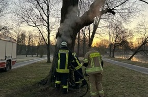 Landespolizeiinspektion Nordhausen: LPI-NDH: Unbekannte entzünden Baum in Sondershäuser Schlosspark - Zeugen gesucht