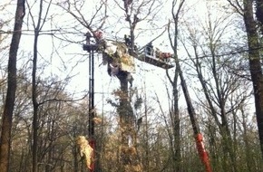 Polizei Rhein-Erft-Kreis: POL-REK: Abschlussmeldung zur Räumung im Hambacher Forst - Kerpen