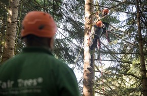 toom Baumarkt GmbH: Weihnachten mit gutem Gewissen / toom und die Fair Trees Stiftung setzen sich im dritten Jahr für faire Weihnachten ein