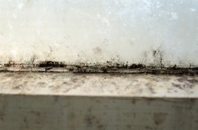 Verbraucherzentrale Nordrhein-Westfalen e.V.: Was tun bei Schimmelbefall?