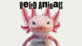 ARD Audiothek: "Weird Animals": neuer Podcast über die Komik der Tierwelt in der ARD Audiothek