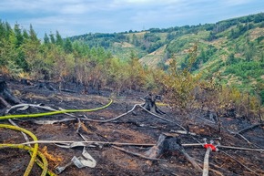 FW Menden: Überörtliche Hilfeleistung bei Waldbrand in Lüdenscheid