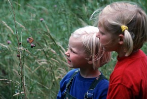 Viele Schmetterlingsarten sind in ihrem Bestand gefährdet / Fielmann stiftet dem ErlebnisWald Trappenkamp den größten norddeutschen Schmetterlingsgarten unter freiem Himmel zum Schutz heimischer Falter