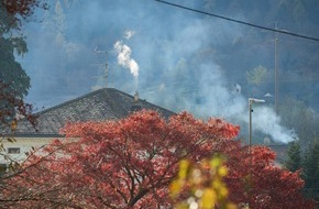 Fürstentum Liechtenstein: Richtig Heizen mit Holz