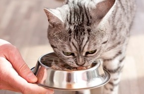 Mars Schweiz AG: Katzen-Studie und Podiumsdiskussion von Mars