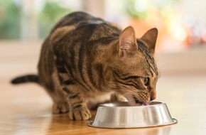 ZZF – Zentralverband der Heimtierbranche e.V.: Der Deutsche Heimtiermarkt 2023