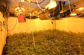 Polizeiinspektion Emsland/Grafschaft Bentheim: POL-EL: Update - Eine der größten Cannabisplantagen der letzten Jahre in Niedersachsen - Ermittlungen führen zu weiterer Festnahme