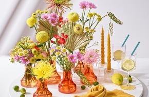 JustChrys.com: Sonnige Aussichten mit Chrysanthemen / Mit leuchtenden Farben durch die heißen Sommertage