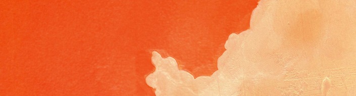 Bastei Lübbe AG: Trauer und Stadttauben - ein Buchtipp