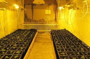 Landeskriminalamt Schleswig-Holstein: LKA-SH: Gemeinsame Pressemitteilung der Staatsanwaltschaft Kiel und des Landeskriminalamtes Schleswig-Holstein - Indoor-Plantagen ausgehoben