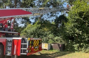 Freiwillige Feuerwehr Alpen: FW Alpen: Ausflug einer Katze im Baum - wieder wohlauf