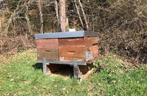 Polizeipräsidium Aalen: POL-AA: Rems-Murr-Kreis: Bienenvölker entwendet, Brand einer Streuobstwiese, Zeugen nach gefährlichem Überholmanöver gesucht, Mann nach exhibitionistischen Handlungen in Haft & Fußgängerin bei Unfall verletzt