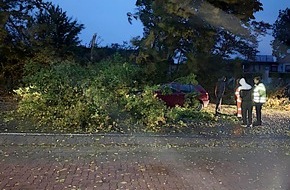 Polizeiinspektion Hameln-Pyrmont/Holzminden: POL-HM: Sturmtief Mortimer: Baum stürzt vor fahrendes Auto