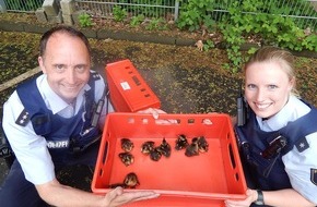 Polizeipräsidium Koblenz: POL-PPKO: ++Rettungseinsatz der besonderen Art in Betzdorf++