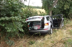 Kreispolizeibehörde Rhein-Kreis Neuss: POL-NE: Autofahrerin kommt von Fahrbahn ab und kollidiert mit Baum