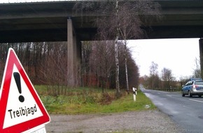 Polizeiinspektion Hildesheim: POL-HI: Mehrere Unfälle durch Wildschweine auf der Autobahn
