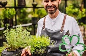 VILA VITA Marburg: Sterne leuchten weiter: Marburger Esszimmer verteidigt Michelin-Auszeichnungen