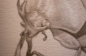 Naturmuseum Solothurn: Kanti illustriert K&auml;fer: Ausstellung im Naturmuseum Solothurn