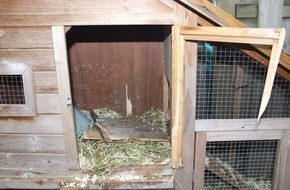 Polizei Hagen: POL-HA: Kaninchen aus Stall eines Gartens in Altenhagen gestohlen