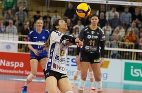 VC Wiesbaden Spielbetriebs GmbH: VCW 0:3 – Potsdam mit mehr Drive