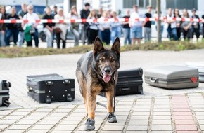 Hauptzollamt Regensburg: HZA-R: Kein Liebesbrief im Gep&auml;ck - Zollhund "Cessy" entdeckt zahlreiche Drogen / Z&ouml;llner der Kontrolleinheit Verkehrswege Furth im Wald stellten bei einer Zugkontrolle verschiedene Drogen sicher