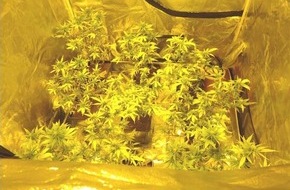 Polizeiinspektion Northeim: POL-NOM: Indoorzelt und Cannabiszucht beschlagnahmt