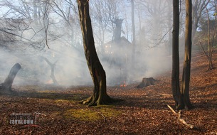 Feuerwehr Iserlohn: FW-MK: Wieder brennt Unterholz