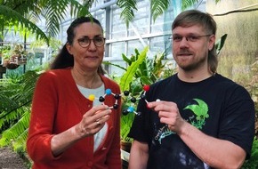 Universit&auml;t Osnabr&uuml;ck: Osnabr&uuml;cker Wissenschaftler widerlegen Annahme: Pflanzen k&ouml;nnen Ergothionein selbst herstellen
