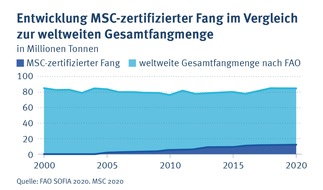 Marine Stewardship Council (MSC): Tag der Meere: Warum an nachhaltiger Fischerei kein Weg vorbeiführt