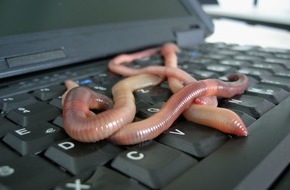 Computacenter: Schützen Sie Ihre IT vor Würmern