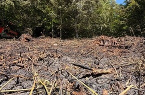 Feuerwehr Remscheid: FW-RS: Zahlreiche Eins&auml;tze f&uuml;r die Feuerwehr Remscheid am Pfingstmontag