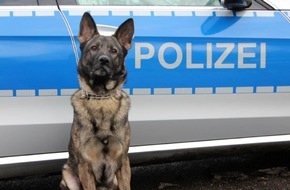 Polizei Hamburg: POL-HH: 190208-1. Zwei Festnahmen nach Einbruch in Kita in Hamburg-Wilhelmsburg