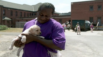 ZDFinfo: "Prison Dogs": ZDFinfo-Doku über Assistenzhunde hinter Gittern