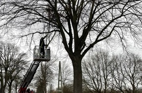 Feuerwehr Schermbeck: FW-Schermbeck: Ein weiterer Sturmeinsatz