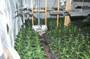 Polizei Rhein-Erft-Kreis: POL-REK: Cannabisplantagen aufgefunden - Hürth