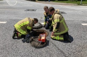 Feuerwehr Bremerhaven: FW Bremerhaven: Vier Entenküken aus Gulli gerettet