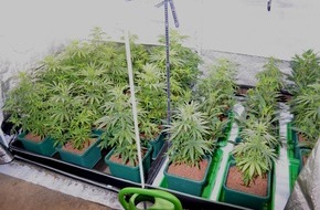 Polizeiinspektion Hildesheim: POL-HI: Gemeinsame Pressemitteilung der Staatsanwaltschaft und Polizeiinspektion Hildesheim. Professionelle Indoorplantage in Bockenem ausgehoben.