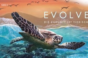 "Evolve - Die Zukunft ist tierisch" / Neue Doku-Reihe über Bionik in der ARD Mediathek